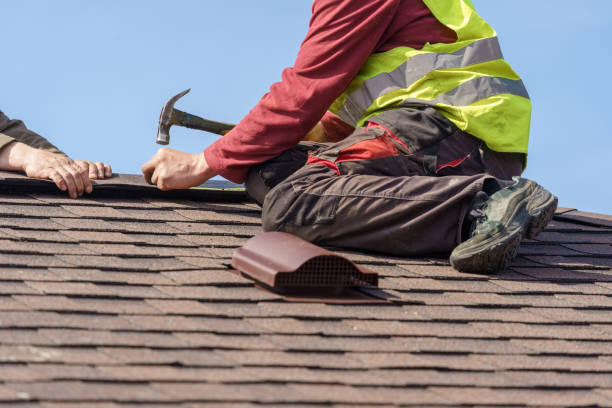 Roof Gutter Cleaning in Antelope, CA